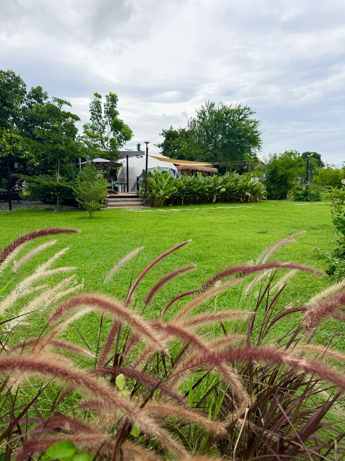 Nature surroundings near Kalinga Dome Glamping